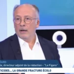 Choc : Le journaliste Yves Thréard qualifie Rachida Dati de "petite beurette"
