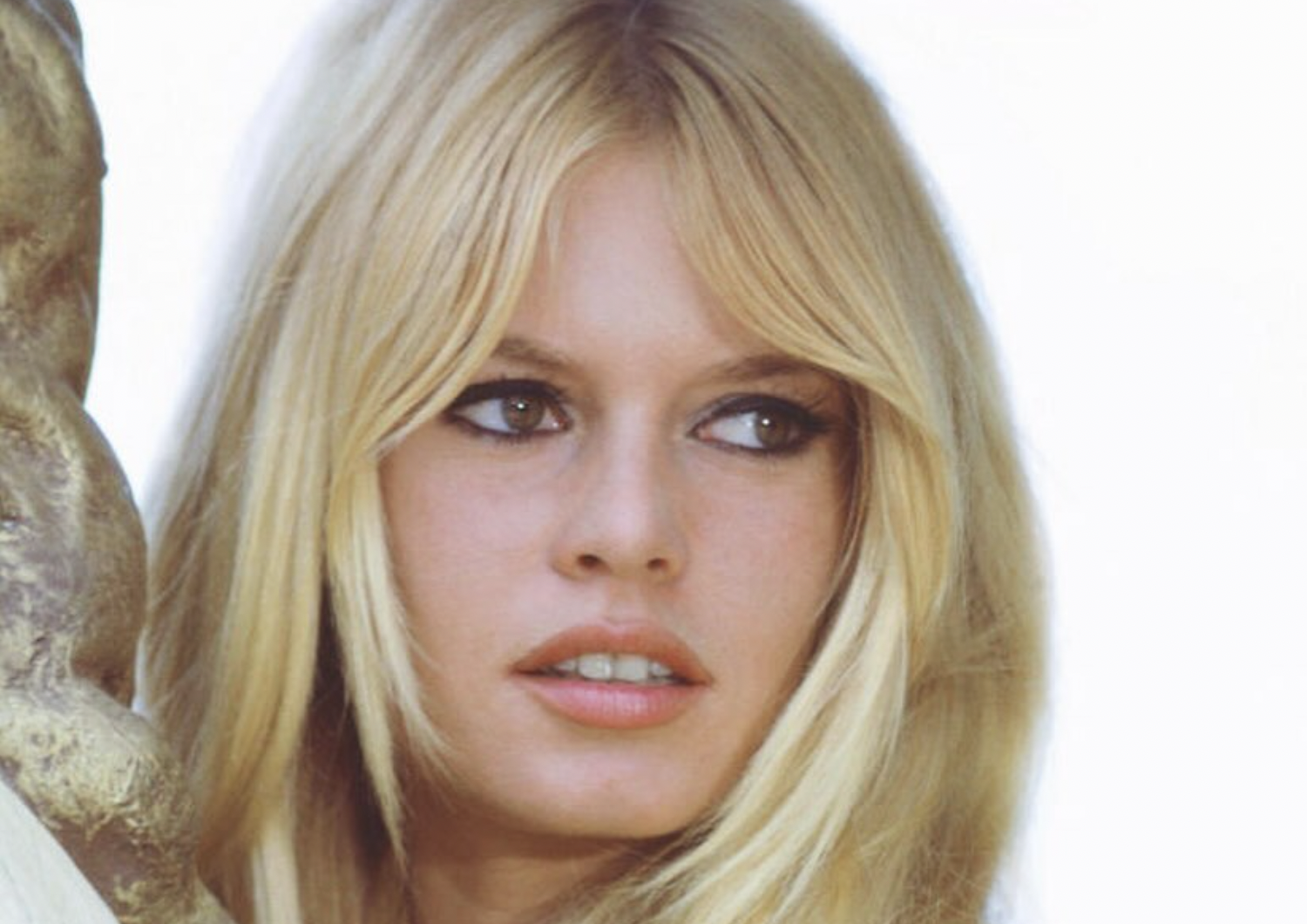 « Grosse raciste, et homophobe » Ragnar Le Breton face aux attaques contre Brigitte Bardot