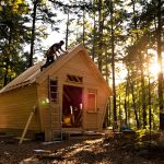 cabane-foret-chantier