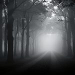 Affaire Estelle Mouzin : l'État condamné pour faute lourde dans l'enquête judiciaire forêt-sombre-brouillard