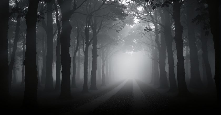 Affaire Estelle Mouzin : l’État condamné pour faute lourde dans l’enquête judiciaire