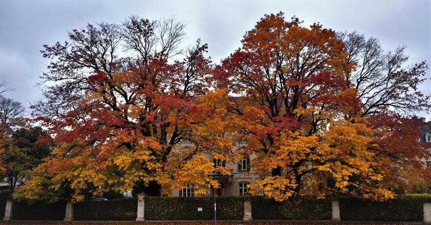 Jean Dujardin et Nathalie Péchalat : la bataille immobilière qui enflamme leur séparation
