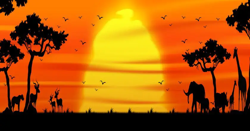 Hommage : Roger Allers, l’un des pères du « Roi Lion », nous a quittés