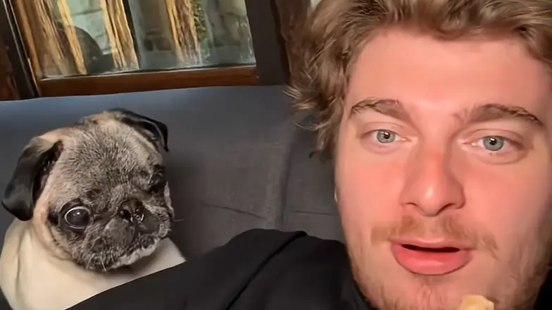 « J’ai tout inventé » : Cyril Schreiner avoue avoir simulé le kidnapping de son chien pour le buzz