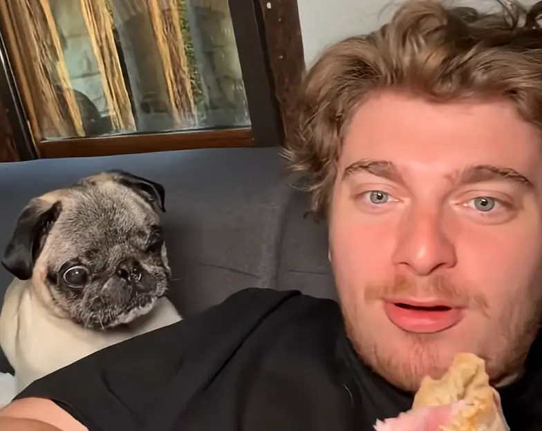 « J’ai tout inventé » : Cyril Schreiner avoue avoir simulé le kidnapping de son chien pour le buzz